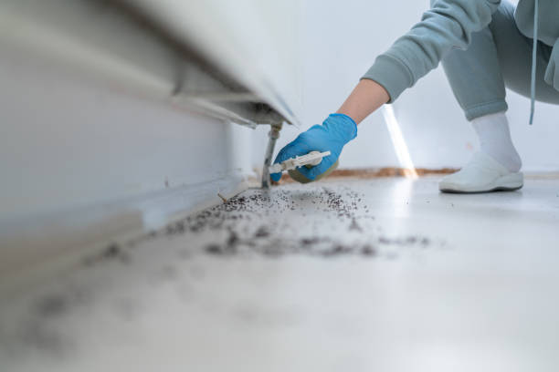 Best Affordable Pest Control Services  in Princeton, TX